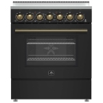 Forno 30 pouce Cuisinière électrique