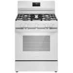 Frigidaire 30 inch Gas Range