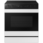 Samsung 30 inch Electric Range